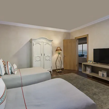 Sarpedor Boutique 4* 托尔巴