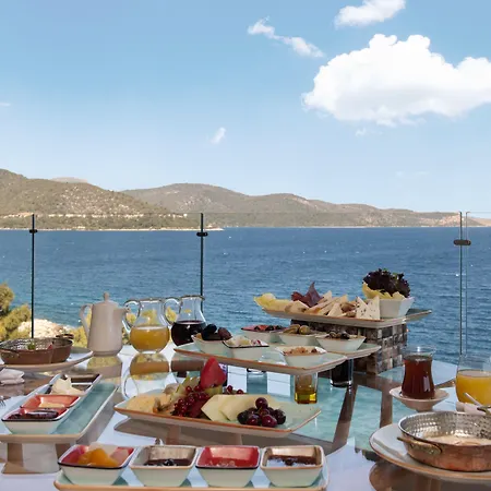 Sarpedor Boutique 4* トルバ