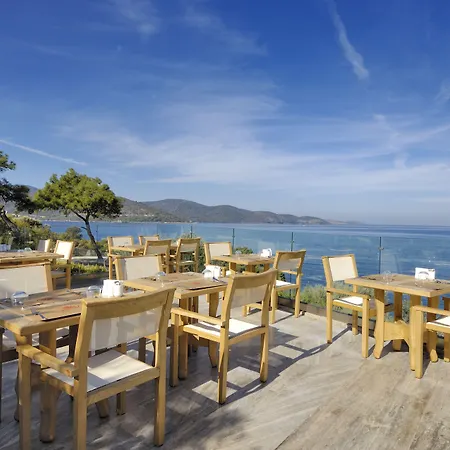 Sarpedor Boutique 酒店 托尔巴