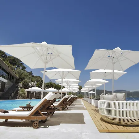 Sarpedor Boutique 4* トルバ