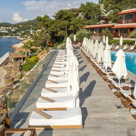 Sarpedor Boutique Hotel Torba