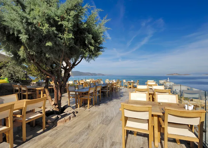 Hotel Sarpedor Boutique