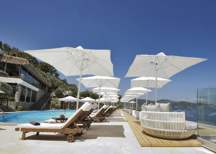 Sarpedor Boutique 4* Торба