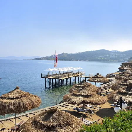 Sarpedor Boutique Torba