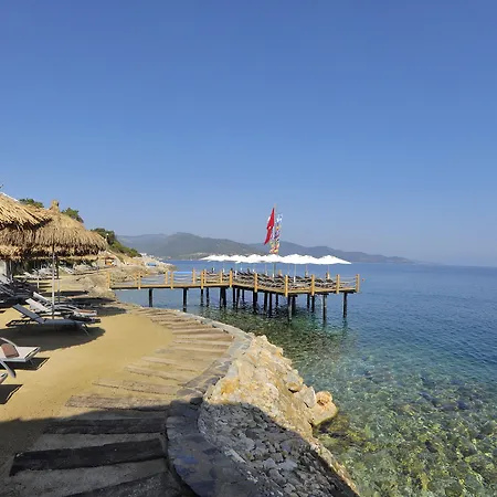 فندق ساربيدور البوتيكي 4*