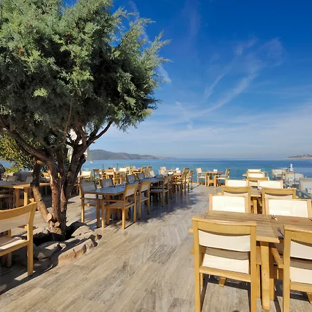 Ξενοδοχείο Sarpedor Boutique