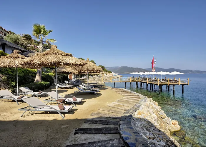 Sarpedor Boutique 4*