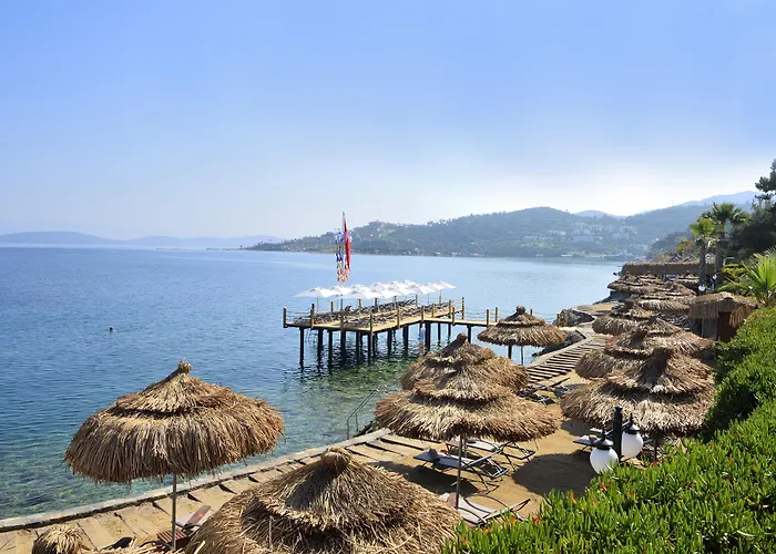 Sarpedor Boutique Torba