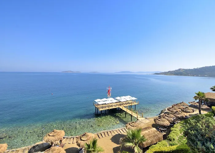 ساربيدور البوتيكي 4*