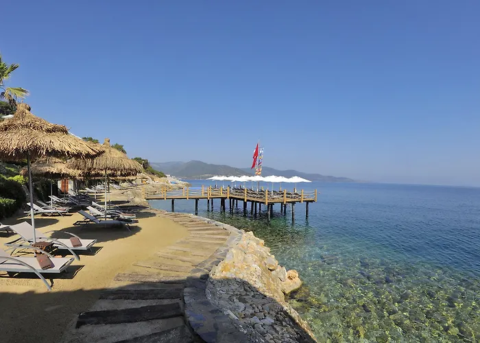 فندق ساربيدور البوتيكي 4*