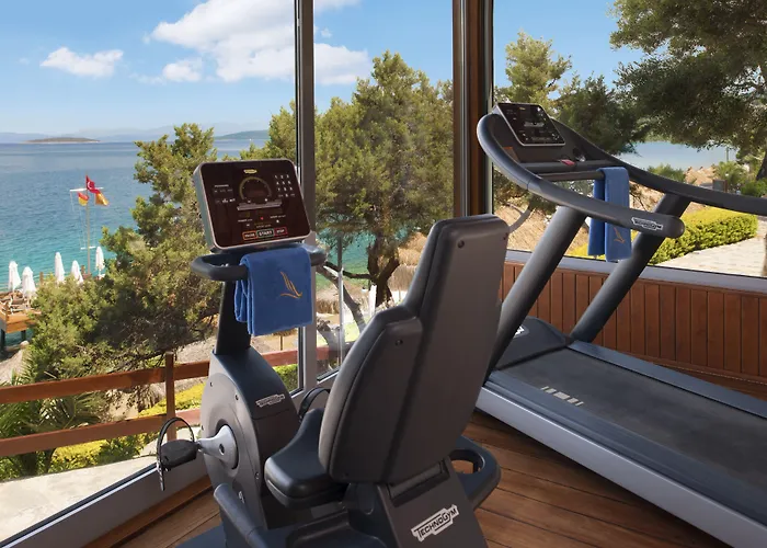 Sarpedor Boutique Hotel Torba